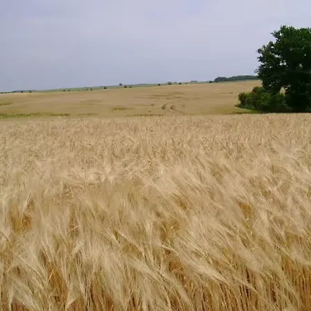 Strietfeld-ferienwohnung 1 Appartamento