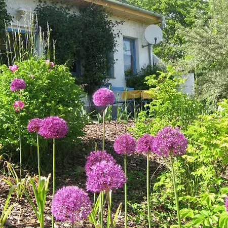 Strietfeld-ferienwohnung 1