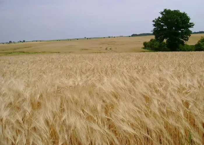 Strietfeld-ferienwohnung 1 Apartment